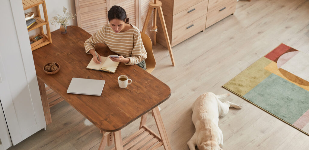 Cum să te angajezi în domeniul IT chiar și fără experiență