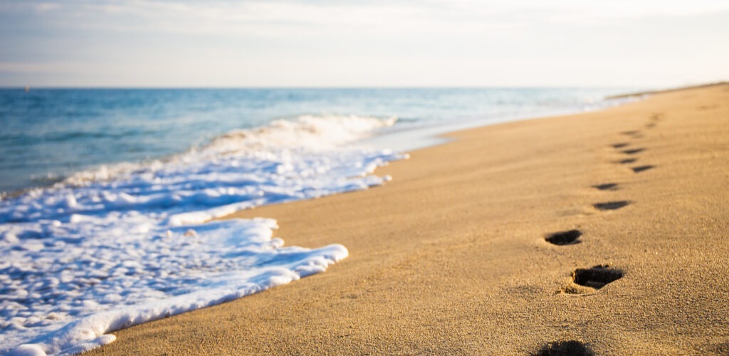 Cei 5 pași pentru un job în IT