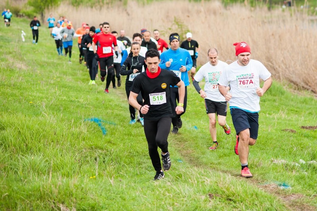 RUNFEST Cernica_1