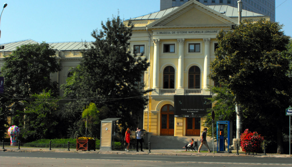 Muzeul national de Istorie Naturala Grigore Antipa