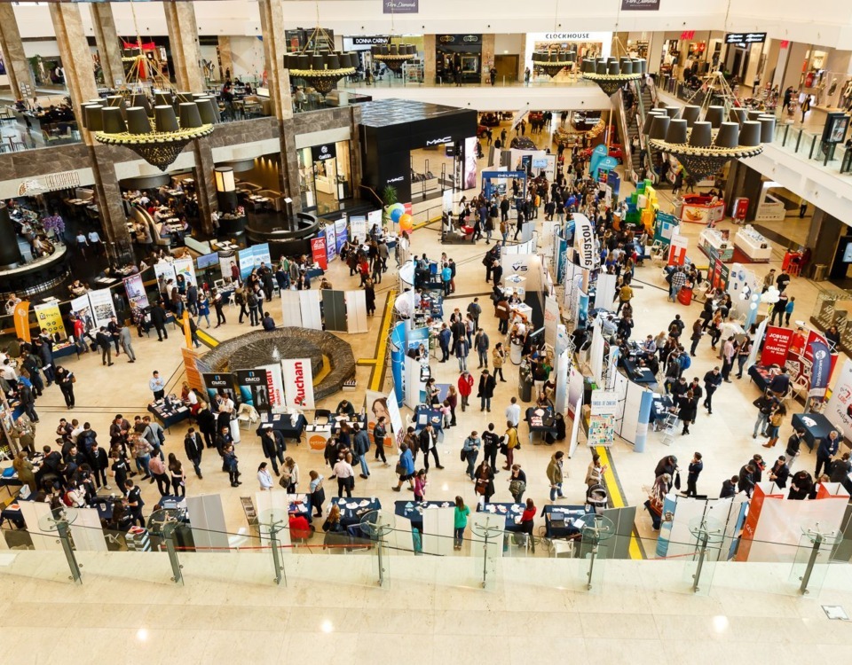 targul de cariere tdc