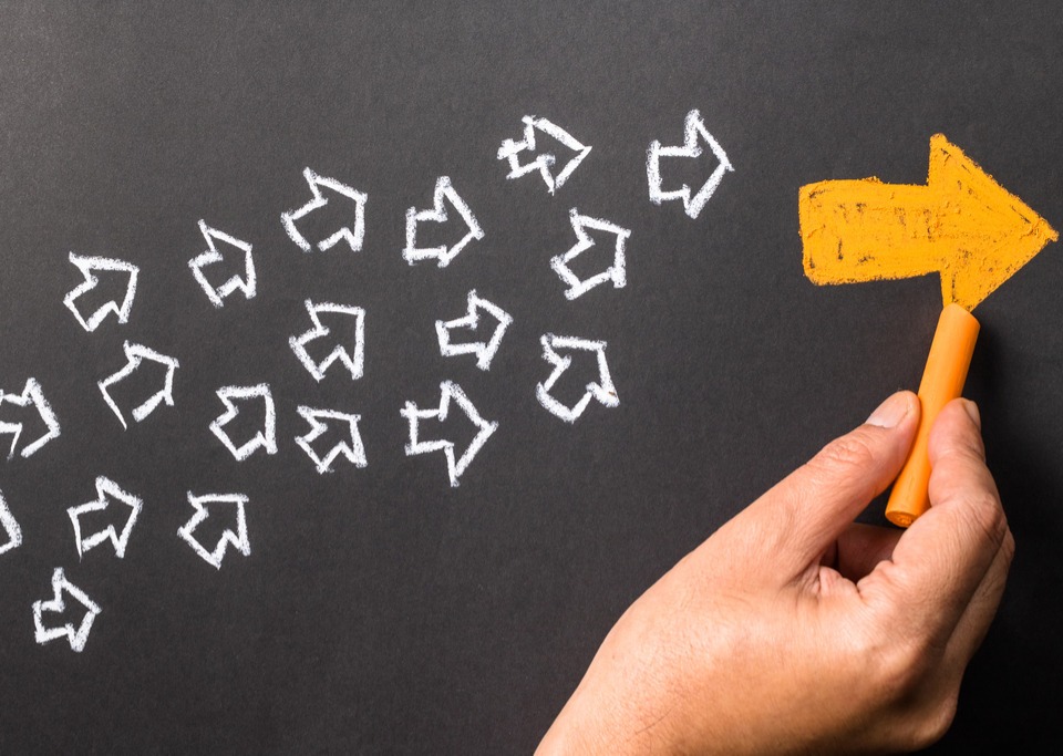 Revista Biz Digital Report 2017