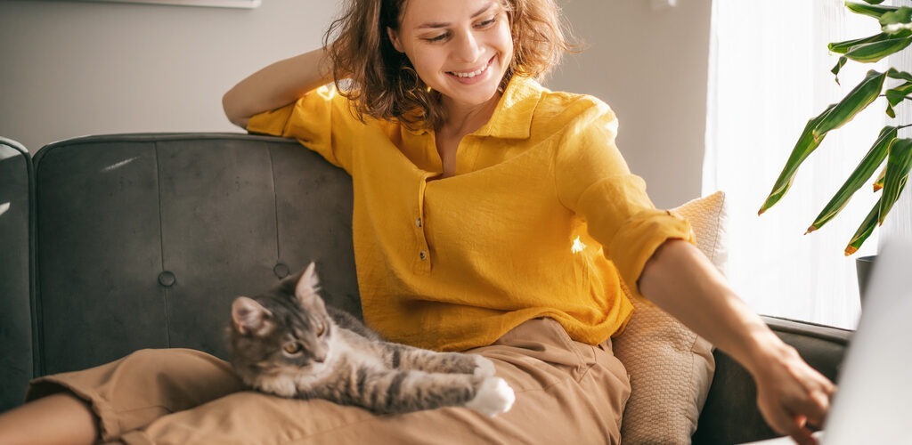 locuri de munca Bucuresti