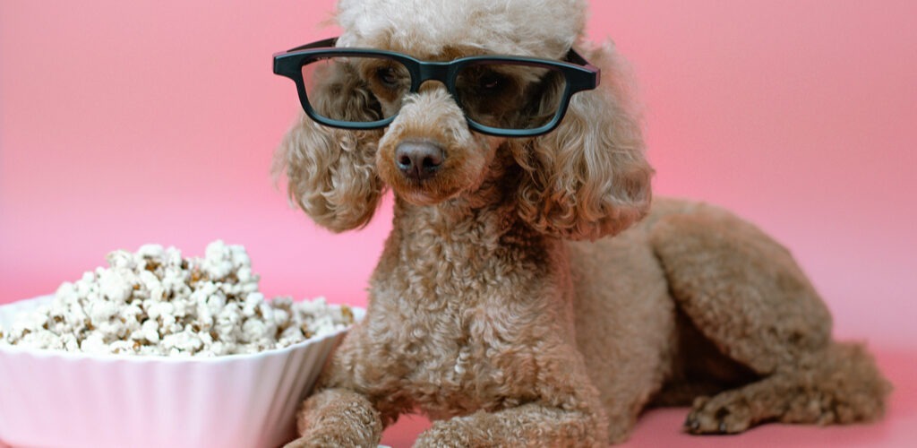 Filme motivationale care-ți vor da un avânt în carieră