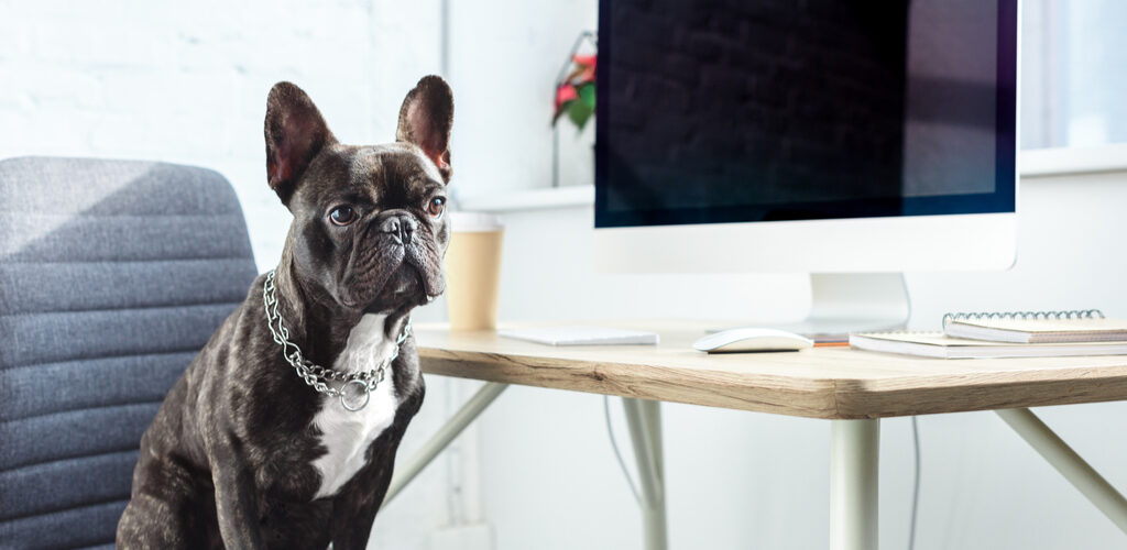 Cum să-ți faci mai lină revenirea la birou după vacanta de vara