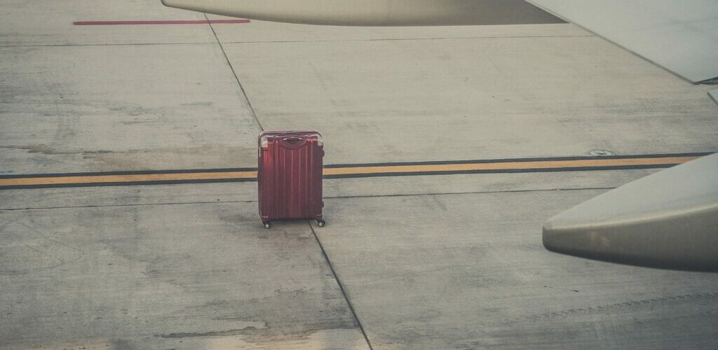 experienta profesionala