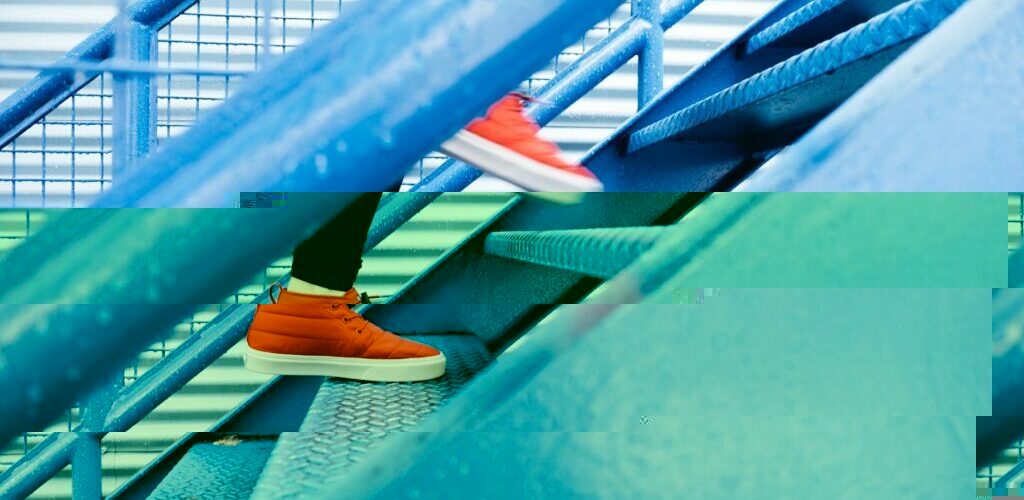 oportunitati de angajare