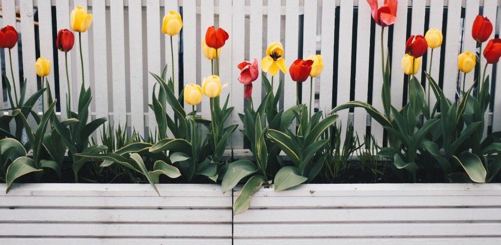 Cum setăm limite sănătoase la locul de muncă