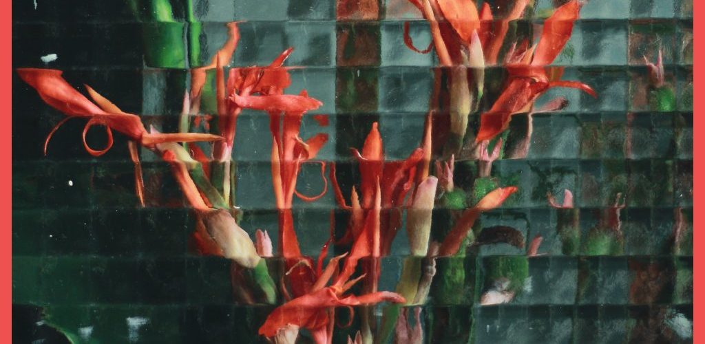 Cum gestionezi inspirat diversele ganduri negative legate de job