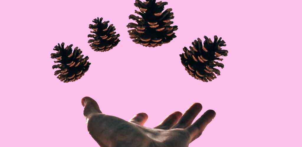 Cu ce oportunități profesionale vin companiile în 2024